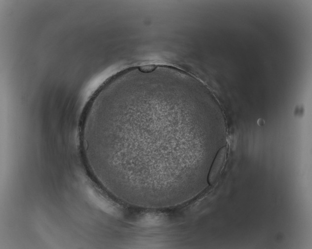 X0000112420248200908281845