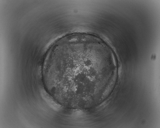 X0000112420249200908281845