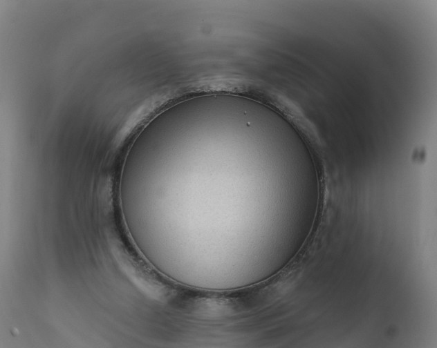 X0000112420250200908281845