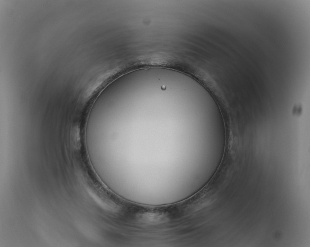 X0000112420251200908281845