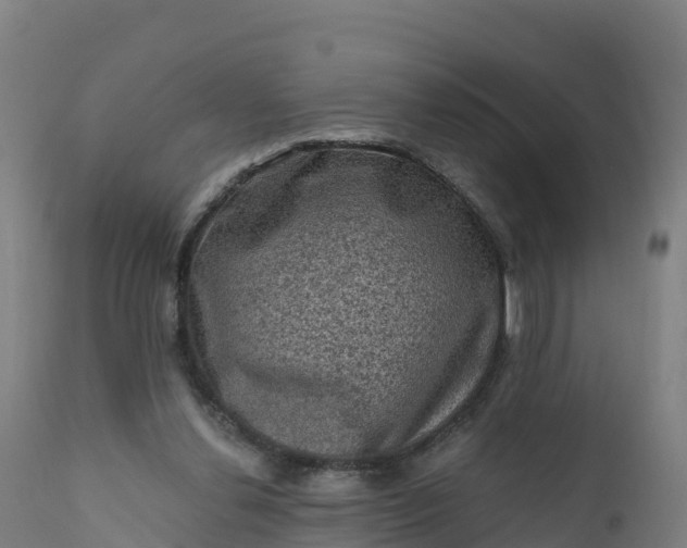 X0000112420252200908281845