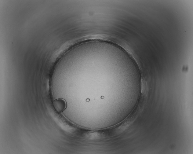 X0000112420253200908281845