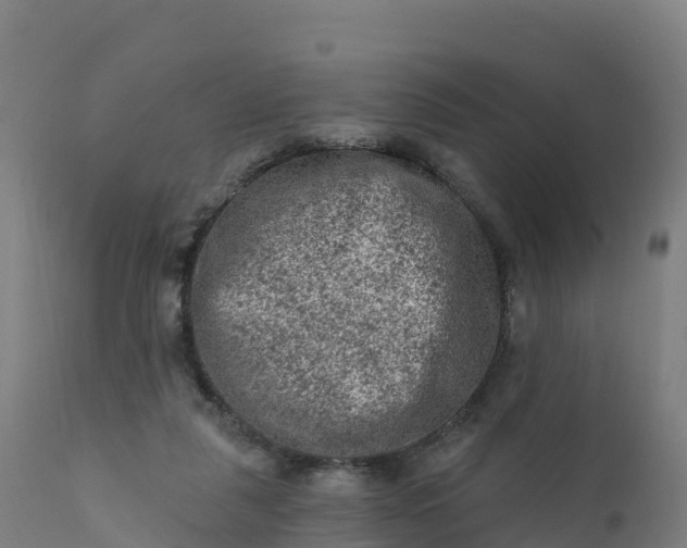 X0000112420259200908281845