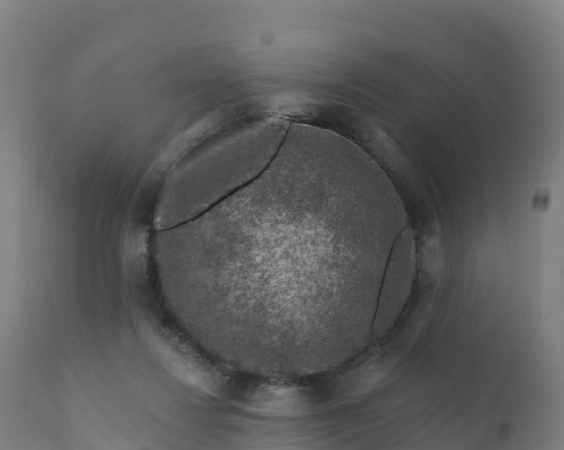 X0000112420260200908281845