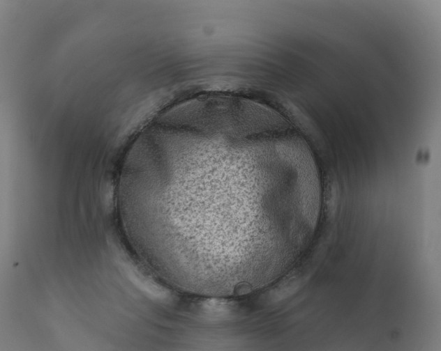 X0000112420261200908281845