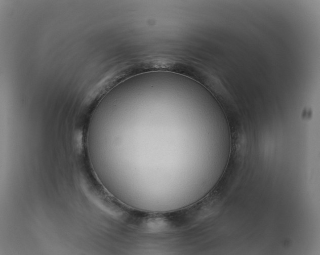 X0000112420262200908281845