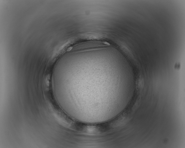 X0000112420264200908281845