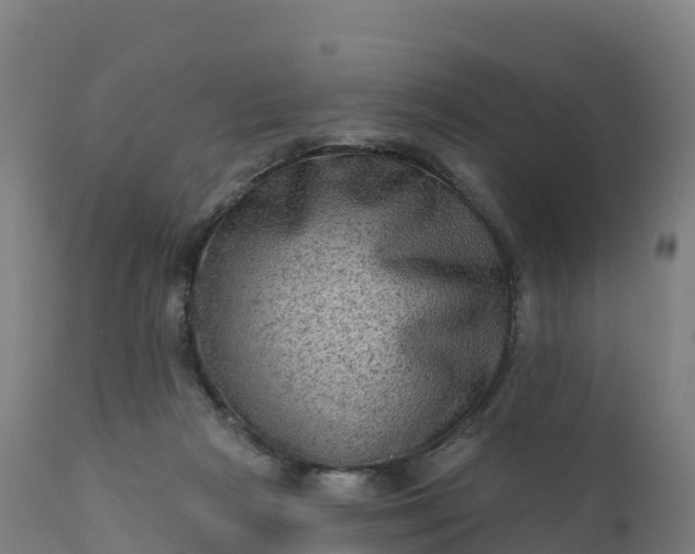 X0000112420265200908281845