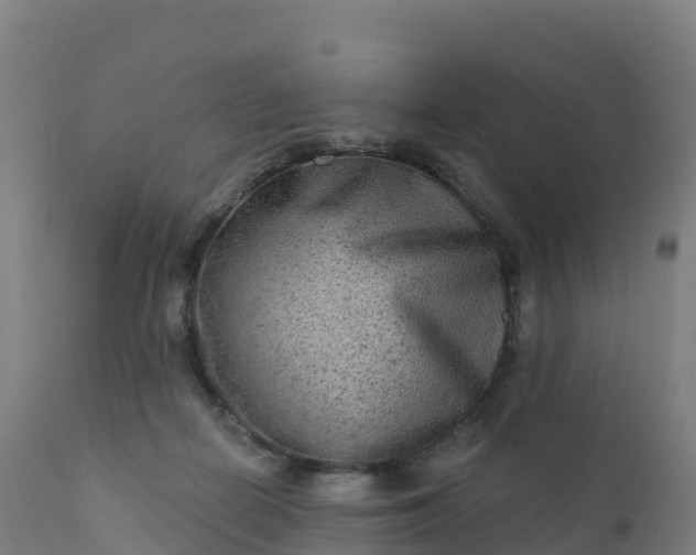 X0000112420266200908281845