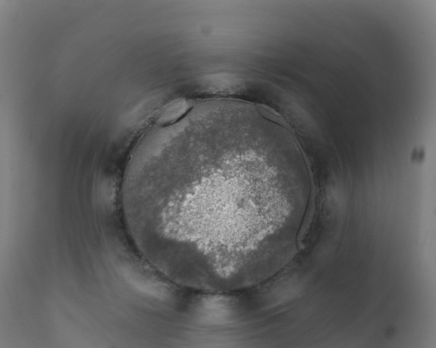 X0000112420268200908281845