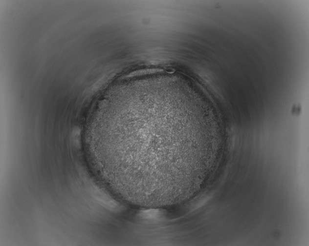 X0000112420269200908281845