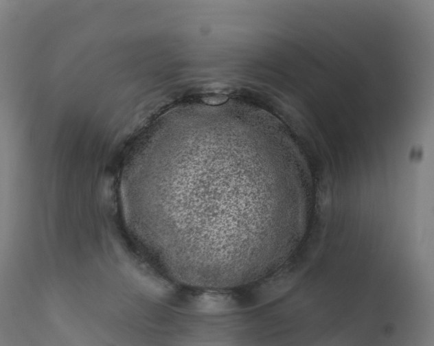 X0000112420270200908281845