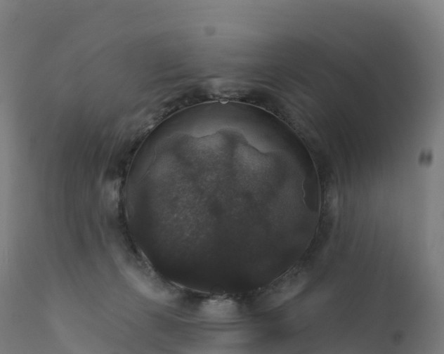 X0000112420271200908281845