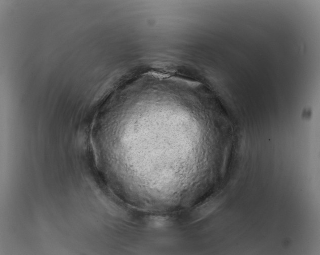 X0000112420273200908281845