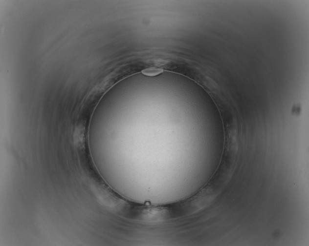 X0000112420274200908281845