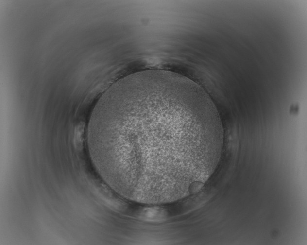 X0000112420275200908281845