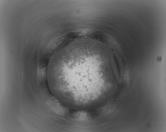 X0000112420276200908281845