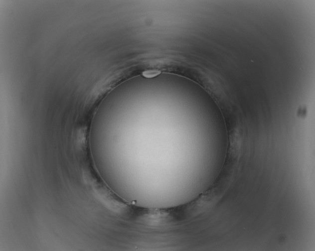 X0000112420278200908281845