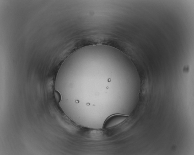 X0000112420279200908281845