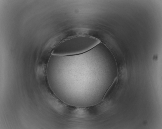 X0000112420280200908281845