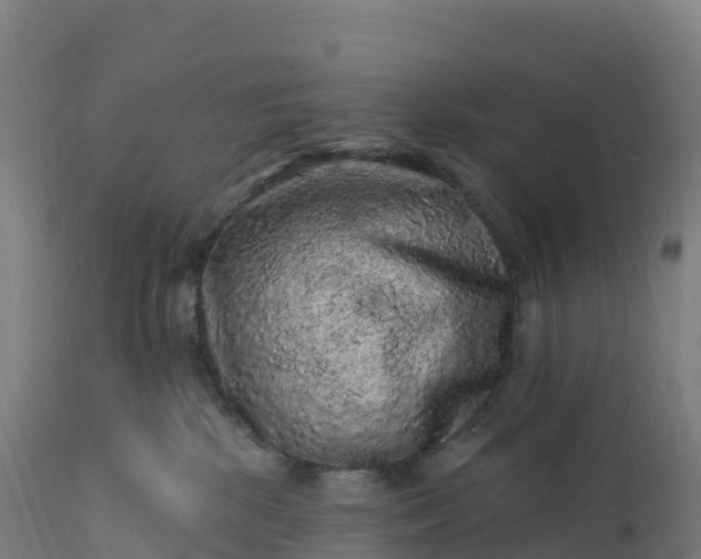 X0000112420281200908281845