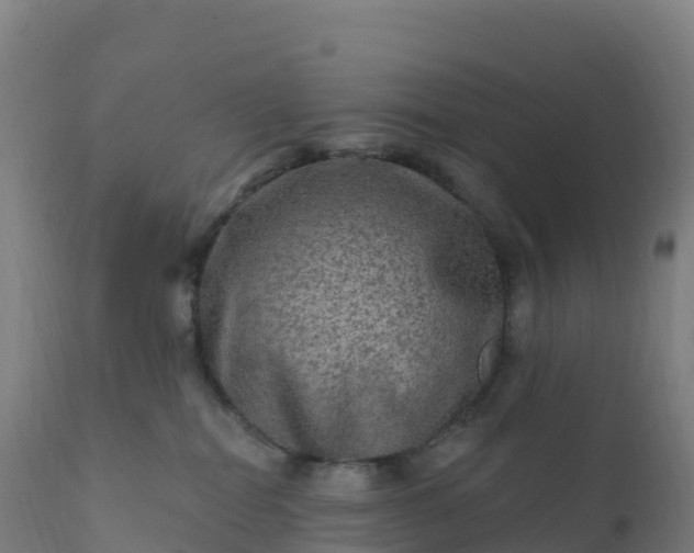 X0000112420282200908281845