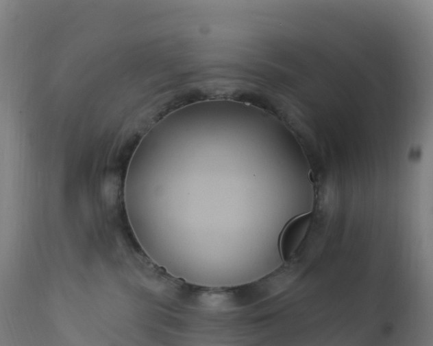 X0000112420283200908281845