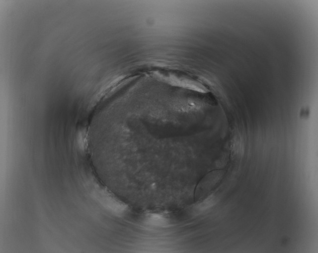 X0000112420285200908281845