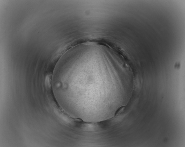 X0000112420286200908281845