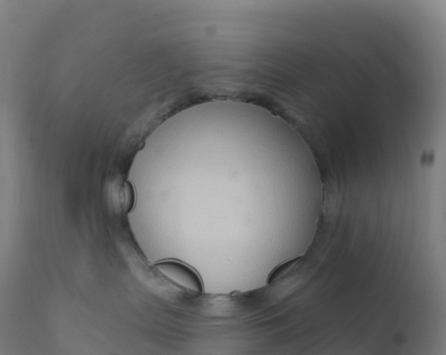 X0000112420287200908281845