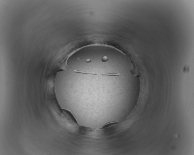 X0000112420288200908281845