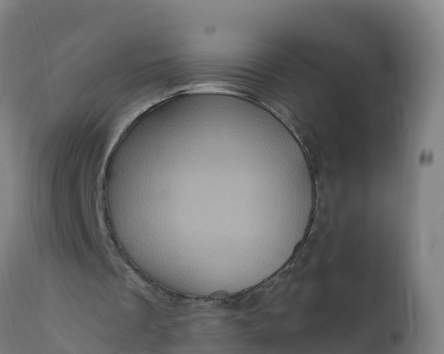 X0000112420289200908281845