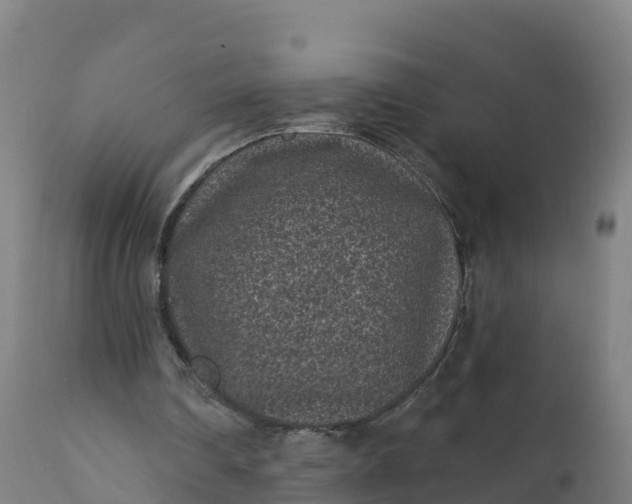 X0000112420290200908281845