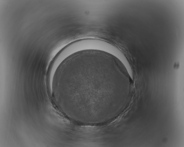 X0000112420292200908281845