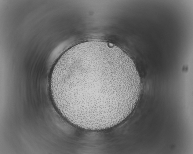 X0000112420293200908281845