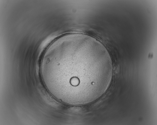 X0000112420294200908281845