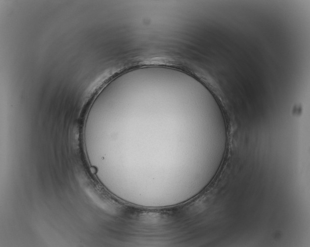 X0000112420298200908281845