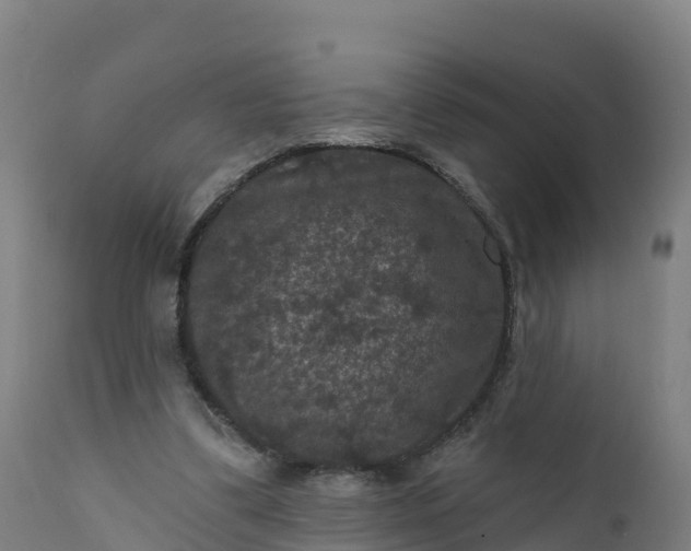 X0000112420299200908281845