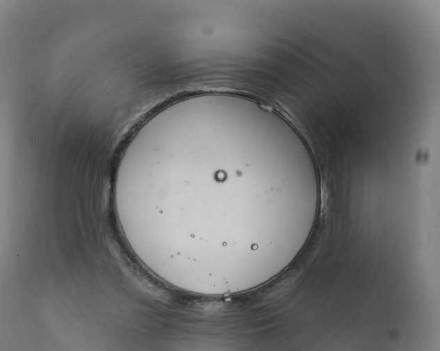 X0000112420301200908281845