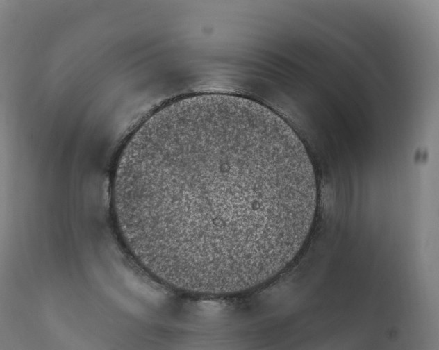 X0000112420302200908281845