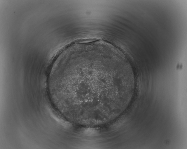 X0000112420303200908281845