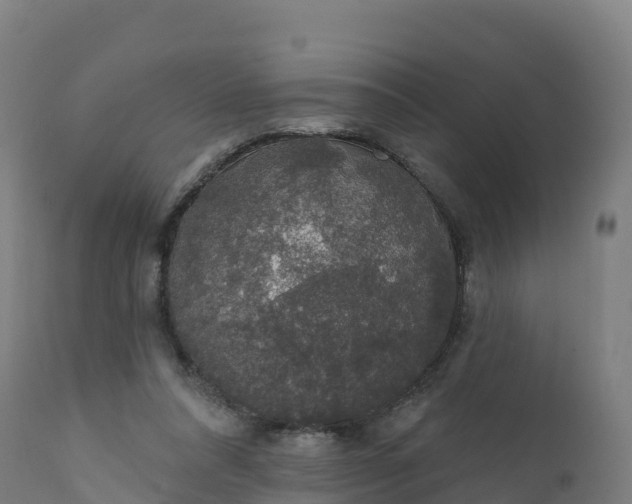 X0000112420304200908281845