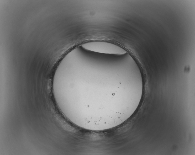 X0000112420305200908281845