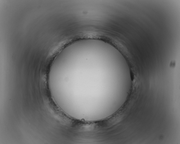 X0000112420306200908281845