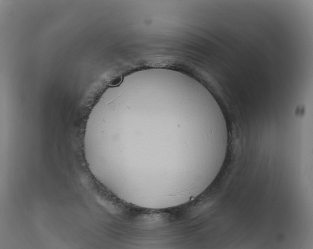 X0000112420307200908281845