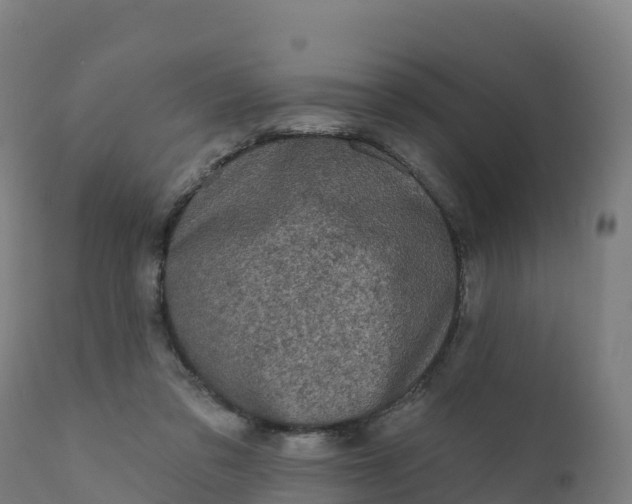 X0000112420309200908281845