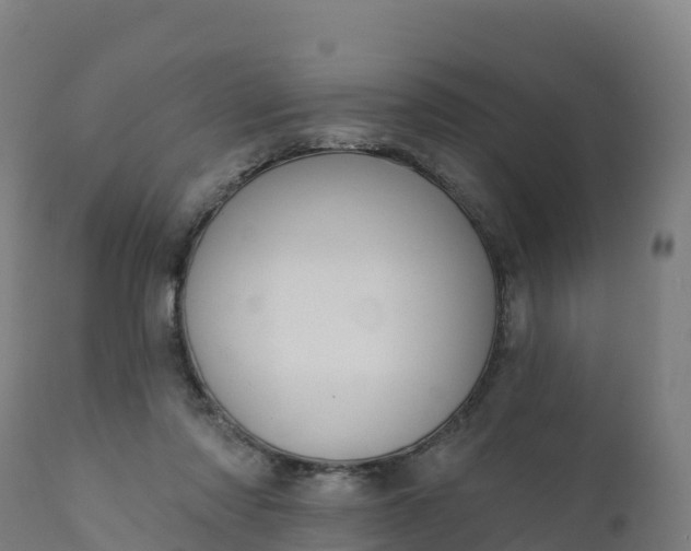 X0000112420310200908281845