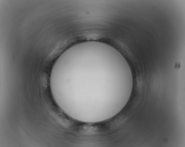 X0000112420311200908281844