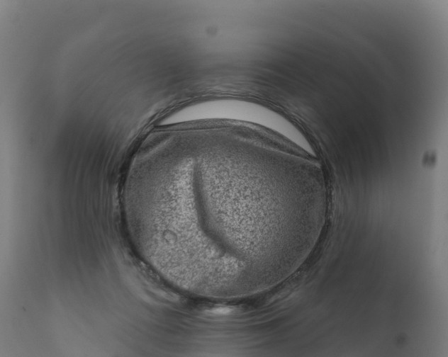 X0000112420312200908281844