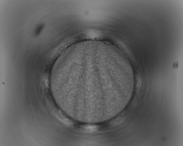 X0000112420313200908281844